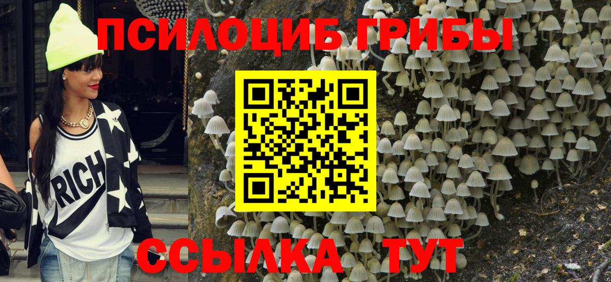 Галлюциногенные грибы прущие грибы  Вход с VPN  Будённовск 