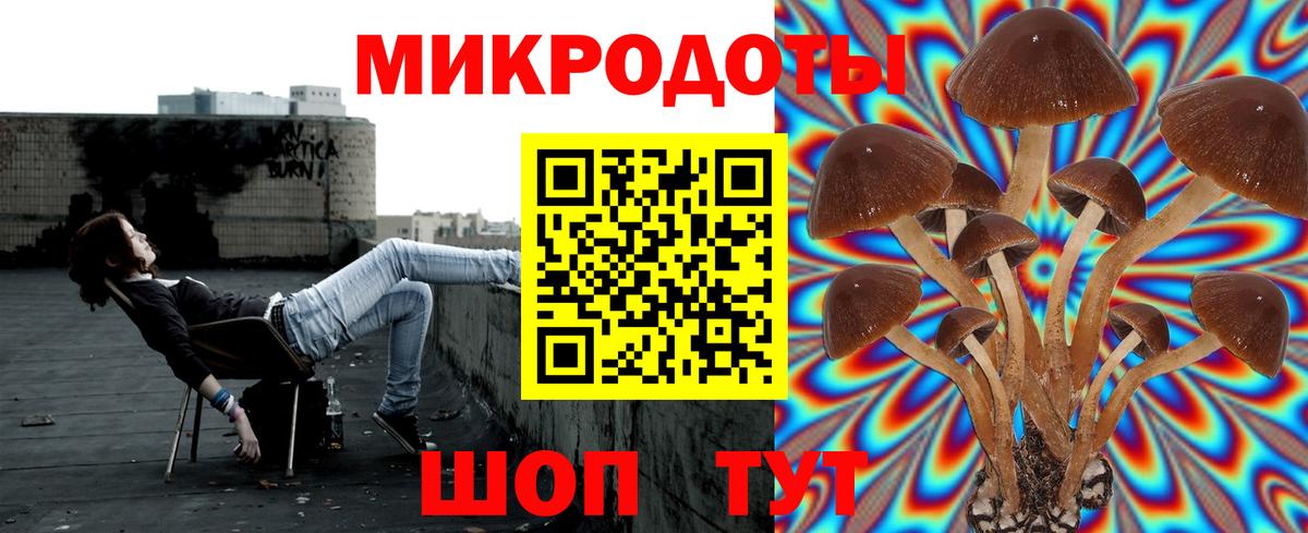 Галлюциногенные грибы Psilocybine cubensis Будённовск